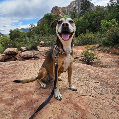 Tove in Sedona Arizona